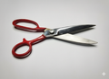 Super Singer Tailor Scissors 8″–11″
